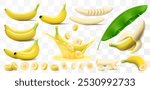 Set of bananas isolated on transparent background. Whole and half a banana, pieces and sliced. Peeled banana and banana in a splash of juice. A leaf of a banana tree. Realistic 3d vector illustration.