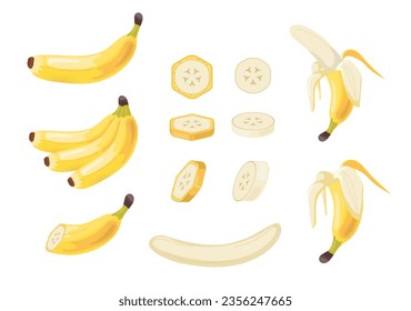 Set of bananas. Natural and organic products with slices. Fruits with vitamins. Dessert and delicacy for summer season. Cartoon flat vector collection isolated on white background