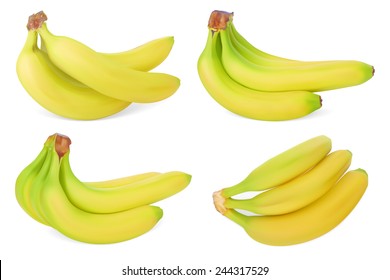 Set of Bananas. Realistic Vector illustration. Isolated on white background