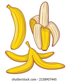 Set of bananas whole and sliced and bunch in clipart style isolated on white background. Vector illustration.
