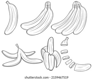 Set of bananas whole and sliced and bunch in clipart style isolated on white background. Vector illustration.