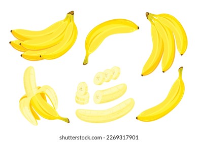 A set of bananas.Bunch of bananas, slices of bananas, peeled banana.Vector illustration.