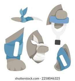 Set of bandaged paw, tail, ear of an animal svg