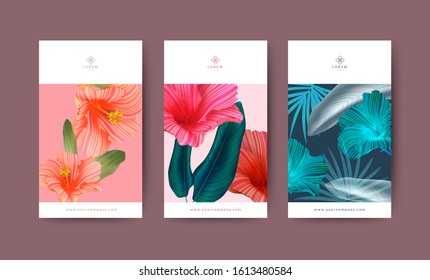 Juego de Banner para la marca Packaging. Fondo natural Hibiscus Flower, logotipo banner voucher, primavera verano tropical, ilustración vectorial