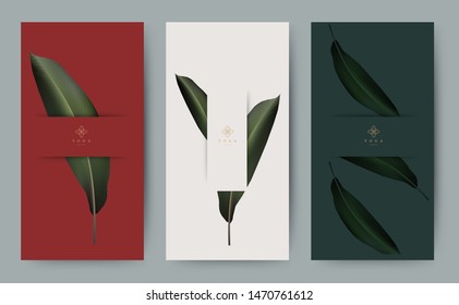 Set of banner for branding packaging leaf nature background. Design for logo, voucher, Summer tropical, autumn and Christmas season greeting. Minimal modern clean style. Vector Illustration.
