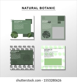 Set Banner Feed Post natural botanic, social media