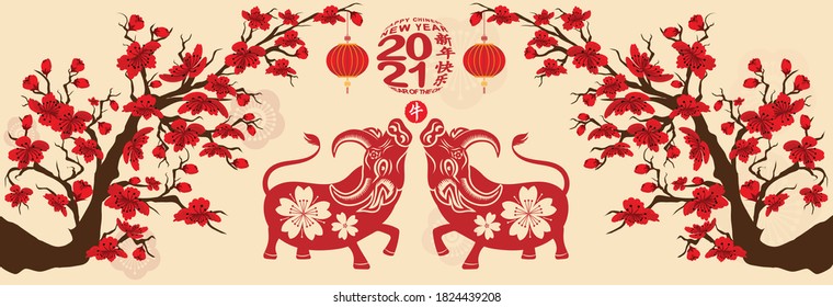 Set Banner Happy new year 2021 greeting card and chinese new year of the Ox, Cherry blossom background (Chinese translation Happy chinese new year 2021, year of ox)