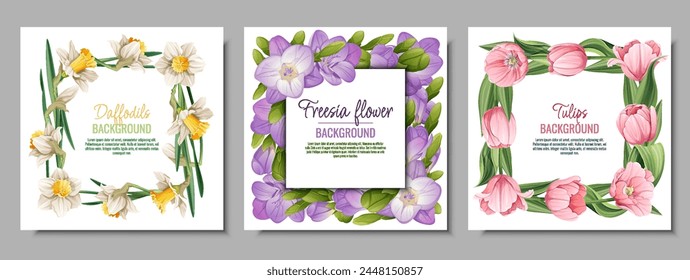 Conjunto de Plantillas de Anuncio con flores de primavera. Postal, póster con tulipanes, narcisos, fresia. Ilustración vectorial de flores delicadas en estilo de dibujos animados para tarjeta, invitación, fondo, etc.
