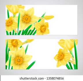 A set of banners with 3d yellow daffodils. Spring floral paper stickers. Vector illustration.
