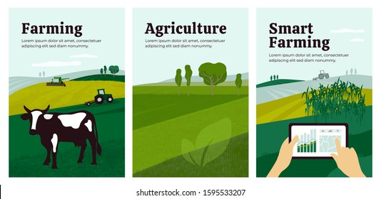 Set of banners with agriculture, livestock, combine harvester, cow in pasture. Illustration of smart farming of control by tablet. Landscape cornfield and tractor. Backgrounds for poster, flyer, web.