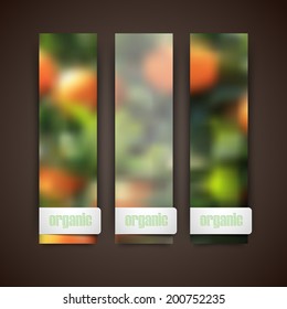 Set of banners with blurred background of orange grove, vector design