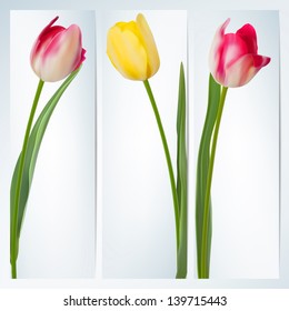 Set of banners with colorful flower. And also includes EPS 10 vector