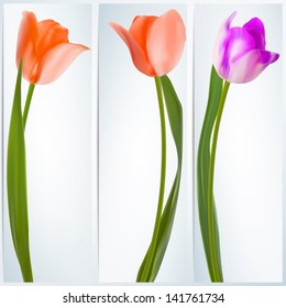 Set of banners with colorful flower. And also includes EPS 10 vector