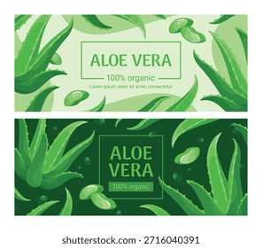 Un conjunto de Anuncios con la planta de aloe vera para promocionar productos médicos orgánicos.