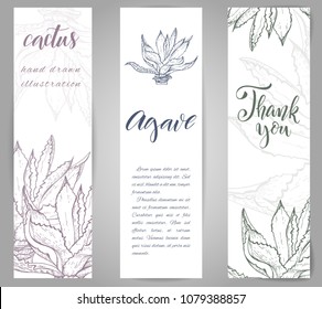 Set of banners with hand drawn agave plant, sketch style vector illustration isolated on white background. Wild floral exotic tropical plant. Black and white of agave plant