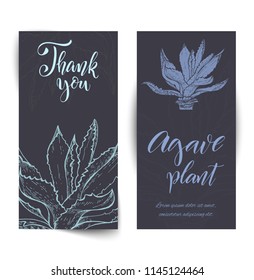 Set of banners with hand drawn agave plant, sketch style vector illustration isolated on white background. Wild floral exotic tropical plant.