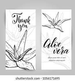 Set of banners with hand drawn Aloe Vera, sketch style vector illustration isolated on white background. Wild floral exotic tropical plant. Black and white of Aloe Vera