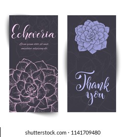 Set of banners with hand drawn Echeveria cacti, sketch style vector illustration isolated on white background. Wild floral exotic tropical plant. Echeveria cacti, top view.