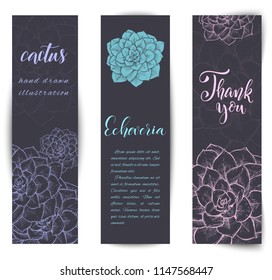 Set of banners with hand drawn Echeveria cacti, sketch style vector illustration isolated on white background. Wild floral exotic tropical plant.