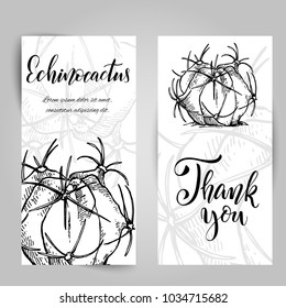 Set of banners with hand drawn echinocactus, sketch style vector illustration isolated on white background. Wild floral exotic tropical plant. Black and white of echinocactus