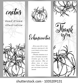 Set of banners with hand drawn echinocactus, sketch style vector illustration isolated on white background. Wild floral exotic tropical plant. Black and white of echinocactus