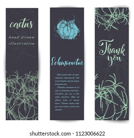 Set of banners with hand drawn echinocactus, sketch style vector illustration isolated on white background. Wild floral exotic tropical plant.