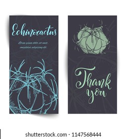 Set of banners with hand drawn echinocactus, sketch style vector illustration isolated on white background. Wild floral exotic tropical plant.