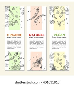 Set of banners with hand drawn mushrooms, peppers, parsley and onion, Natural ingredients, Vector illustration Perfect for farm market advertising, bio product business and agricultural industry, menu