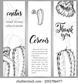 Set of banners with hand drawn Night Blooming Cereus, sketch style vector illustration isolated on white background. Wild floral exotic tropical plant. Black and white Cereus