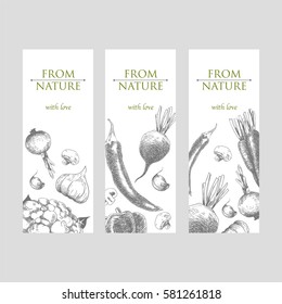 Set of banners with hand drawn sketch of vegetables on white background. Grey and green colors.Laconic design.Vector illustration