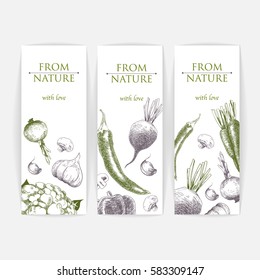 Set of banners with hand drawn sketch of vegetables on white background. Violet and green colors.Laconic design.Vector illustration