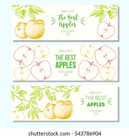 Set of banners with hand-drawn apples. Vector illustration for fruits market. Horizontal banner collection. Vintage elements for design