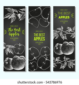 Set of banners with hand-drawn apples. Vector illustration for fruits market. Vertical banner collection. Vintage elements for design