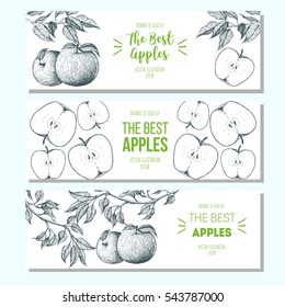Set of banners with hand-drawn apples. Vector illustration for fruits market. Horizontal banner collection. Vintage elements for design