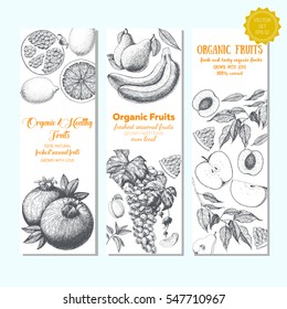 Set of banners with hand-drawn fruits. Organic food sketch. Vector illustration for fruits market. Vertical banner collection. Vintage elements for design.