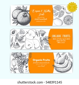 Set of banners with hand-drawn fruits. Organic food sketch. Vector illustration for fruits market. Horizontal banner collection. Vintage elements for design.