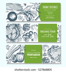 Set of banners with hand-drawn vegetables. Vector illustration for vegetables market. Horizontal banner collection. Vintage elements for design.