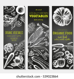 Set of banners with hand-drawn vegetables. Vector illustration for vegetables market. Vertical banner collection. Vintage elements for design.