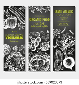 Set of banners with hand-drawn vegetables. Vector illustration for vegetables market. Vertical banner collection. Vintage elements for design.