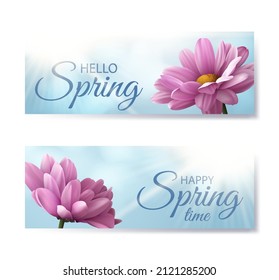 Set von Bannern Hallo Frühling mit realistischen rosa Chrysanthemum Blumen auf blauem Hintergrund. Vektorgrafik.