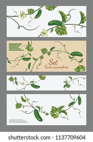 Set of banners with a picture of cucumbers on a light background.