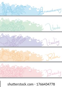 Set of banners. Popular essential oil flowers and herbs. Vector illustration.