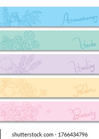 Set of banners. Popular essential oil flowers and herbs. Vector illustration.