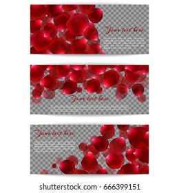 A set of banners with red flying rose petals on a transparent background. Romantic design for festive decoration. Vector illustration