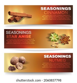 A set of banners with spices. Vector illustration of banners with a realistic image of cinnamon, star anise and nutmeg on a dark background with space for text.