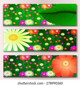 Set of banners with summer flowers