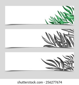Set of banners with tropical grass. Gift leaflets
