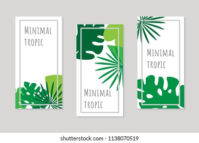 Set of banners with tropical leafs. Minimal billboards with palm leaves, plants