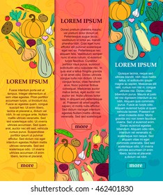 Set of banners with vegetables with place for your text. Hand-drawn. Vector illustration