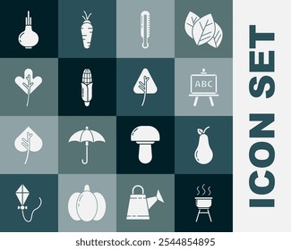 Set Barbecue grill, Pear, Chalkboard, Meteorology thermometer, Corn, Leaf leaves, Onion and  icon. Vector